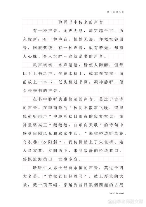 在铃声响过之后作文