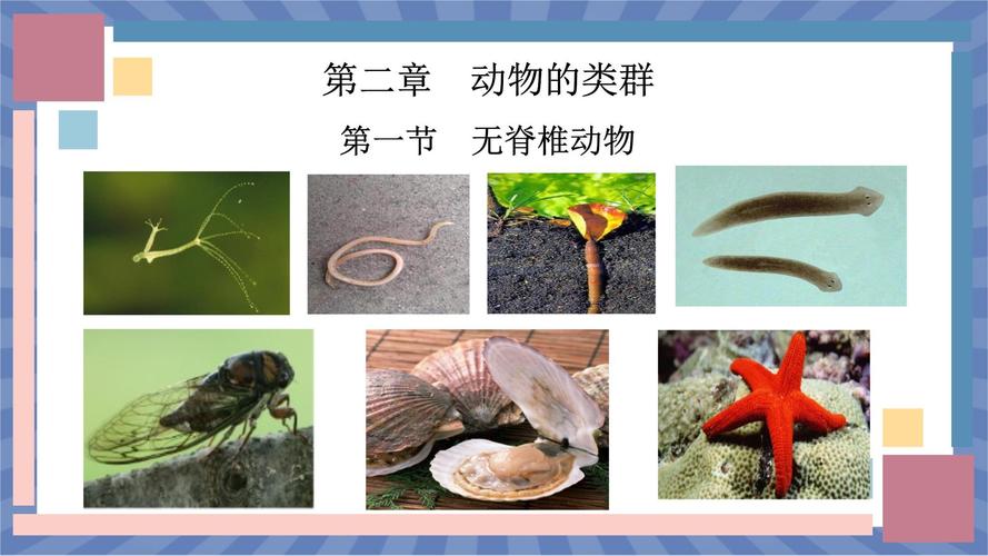 七年级上册生物学课件包含哪些核心知识点？