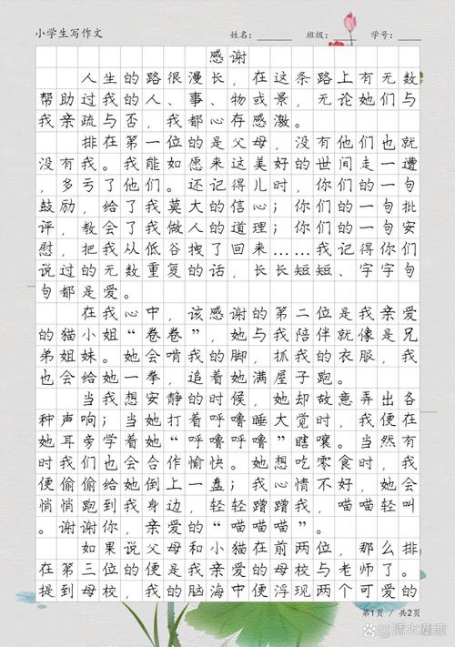 作文感谢-的欣赏