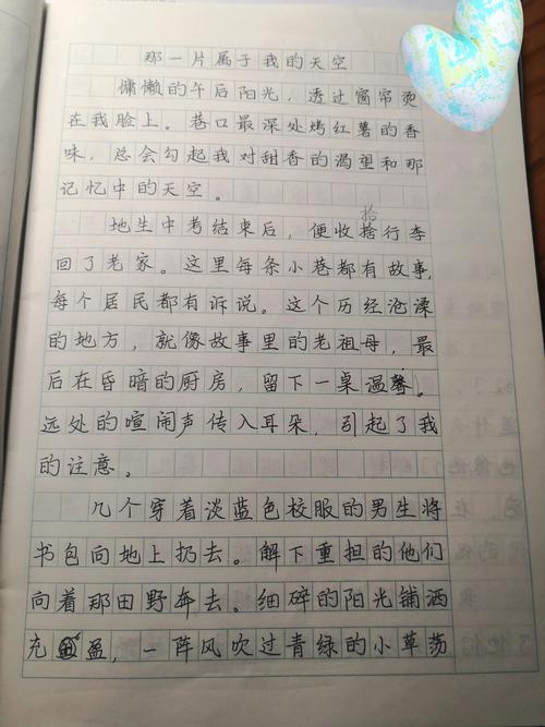 有一种属于我的作文