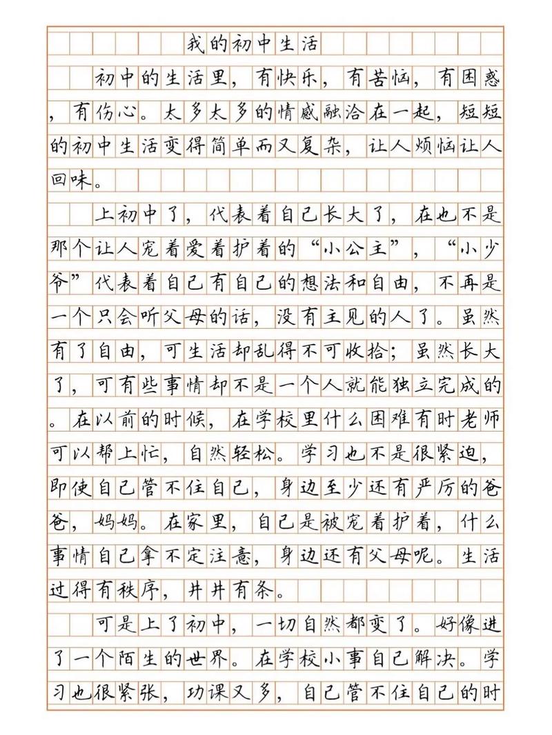 关于初中的生活作文