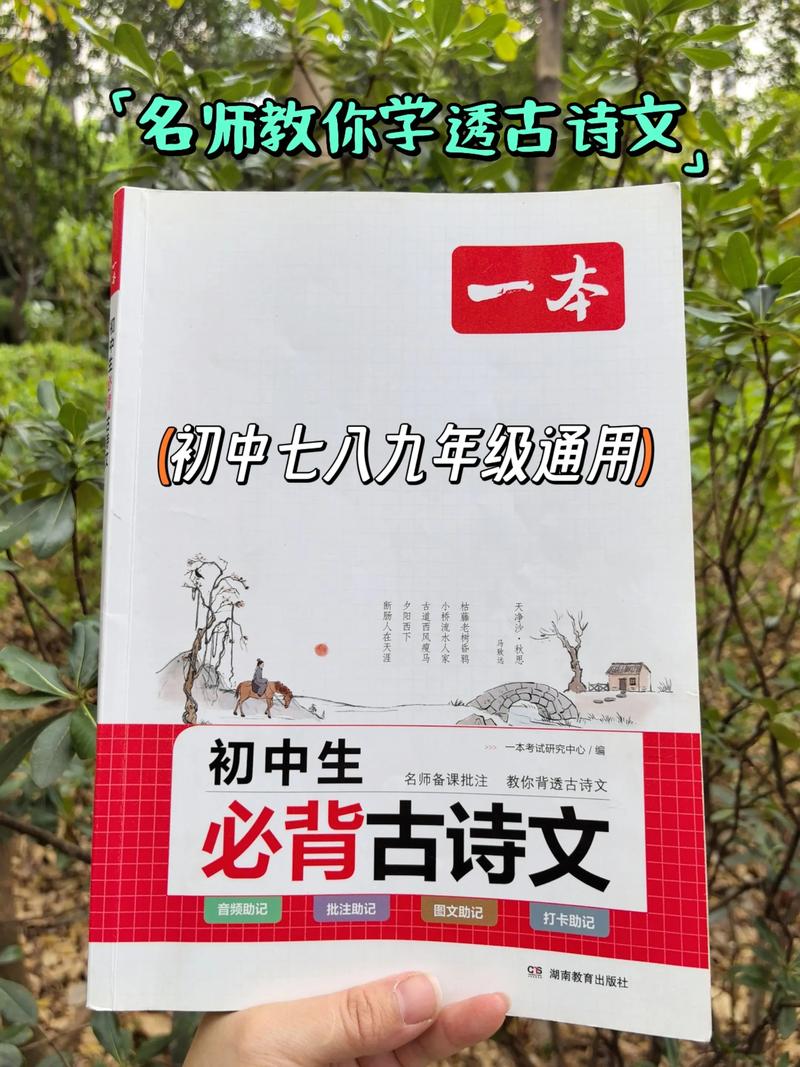学好初中古诗词有何高效秘诀？