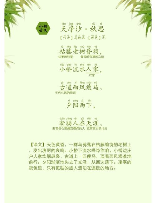 天净沙秋思中考古诗文