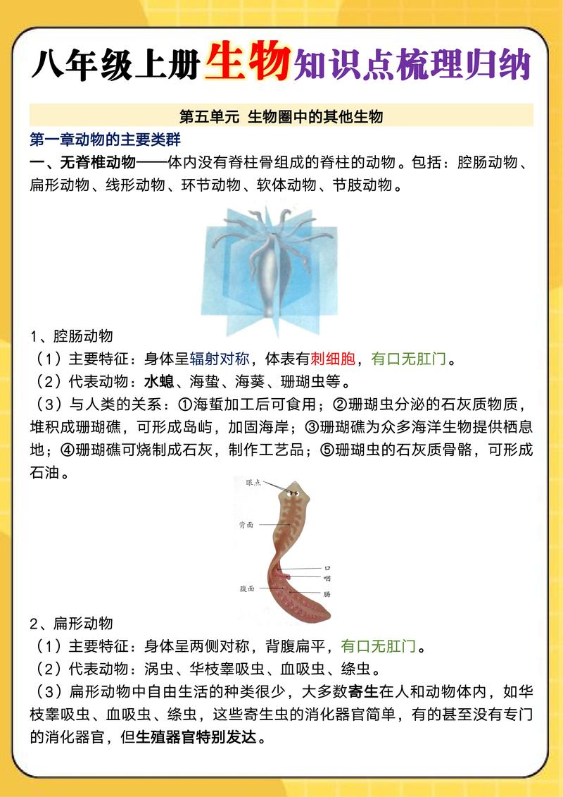 生物8年级知识点总结