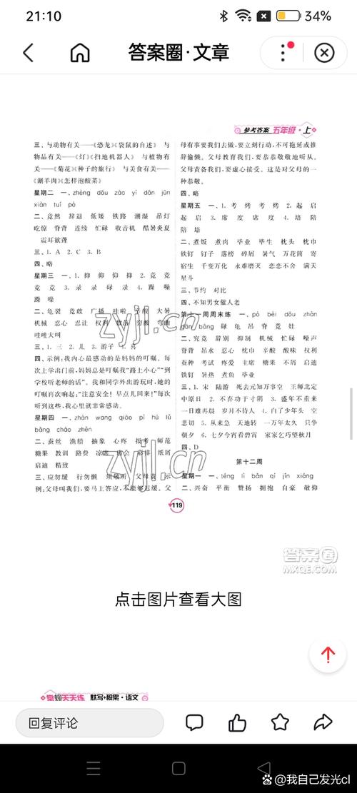 语文课课练5年级上册