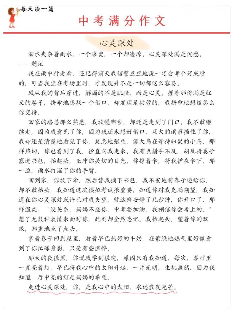 中考满分作文的赏析