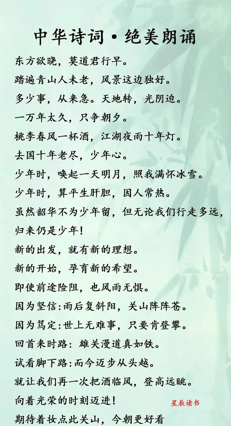 中考古诗名句赏析大全