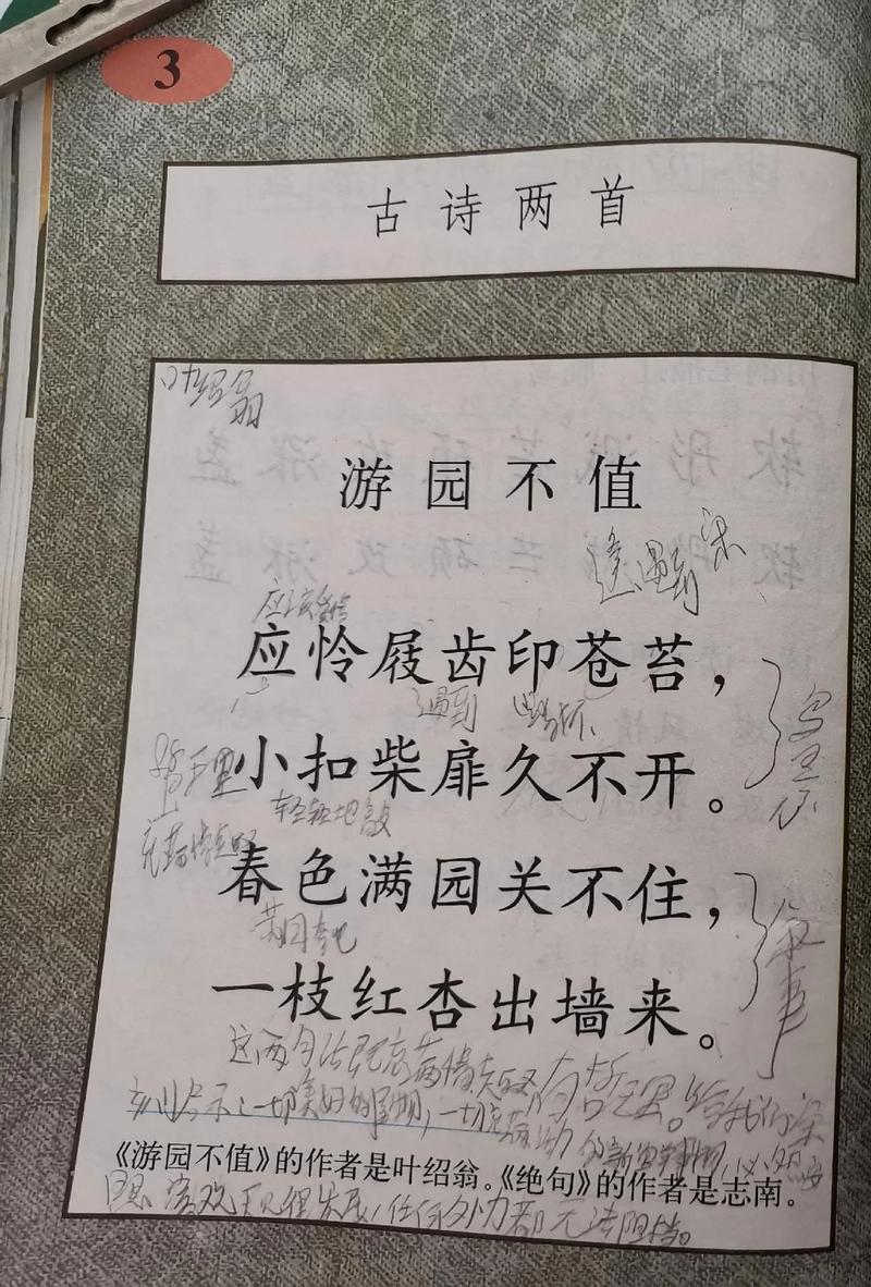 古诗测考后，语文学习该转向何方？