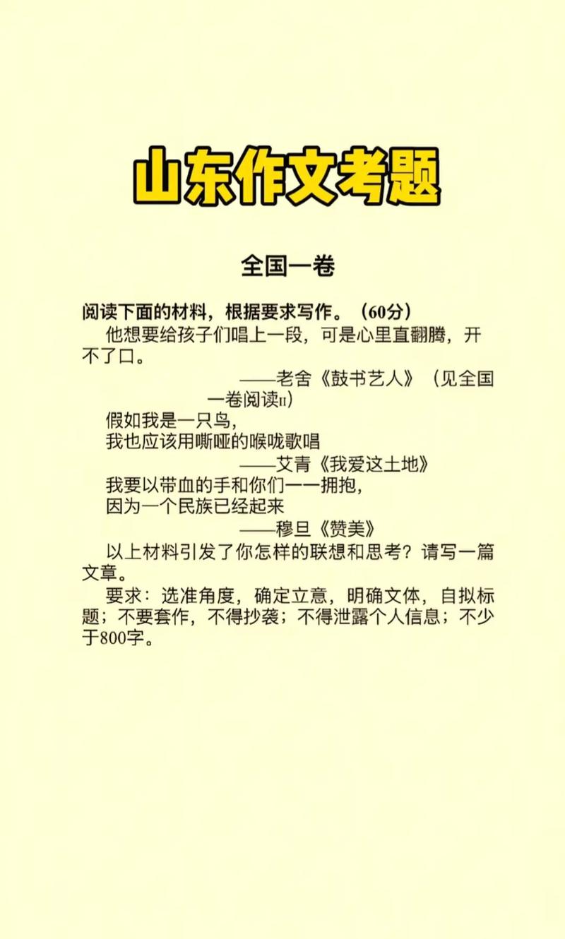山东高考 语文作文