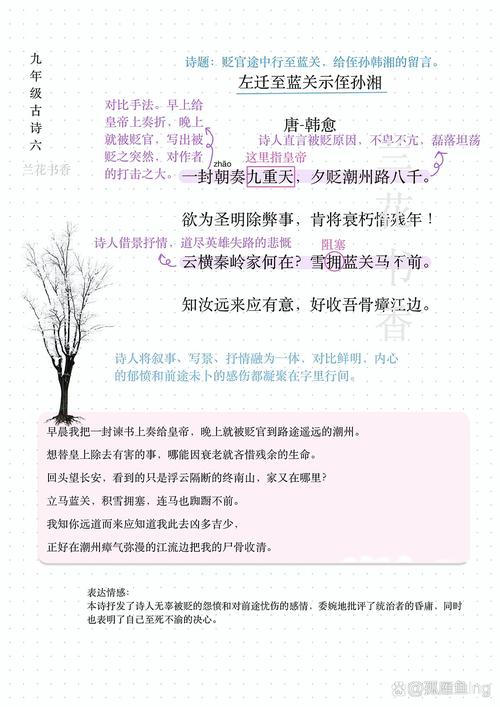 初中生古诗的拓展迁移