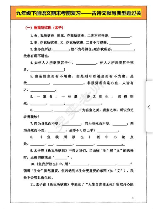 九下人教版古诗文默写重点有哪些？