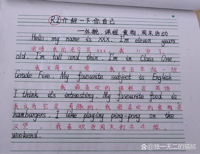 如何用英语介绍自己作文？