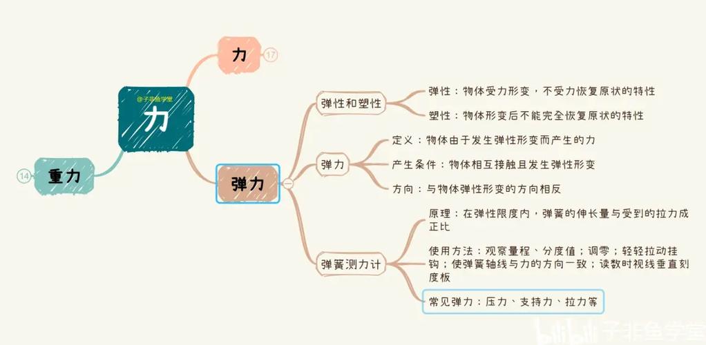 八年级下册物理复习力