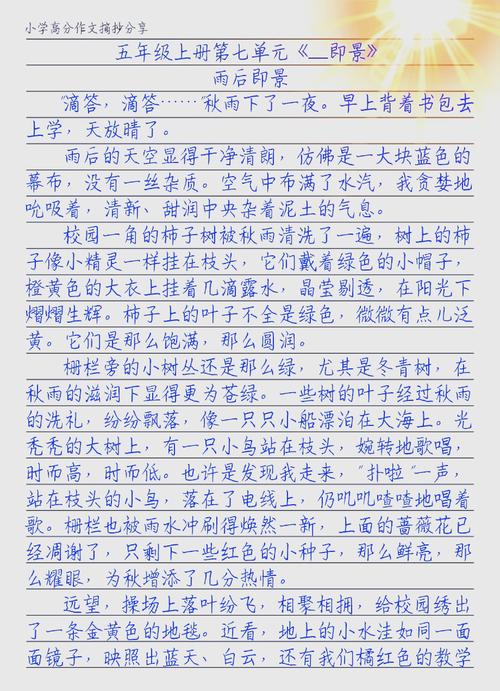 贪心为何总与失败挂钩？