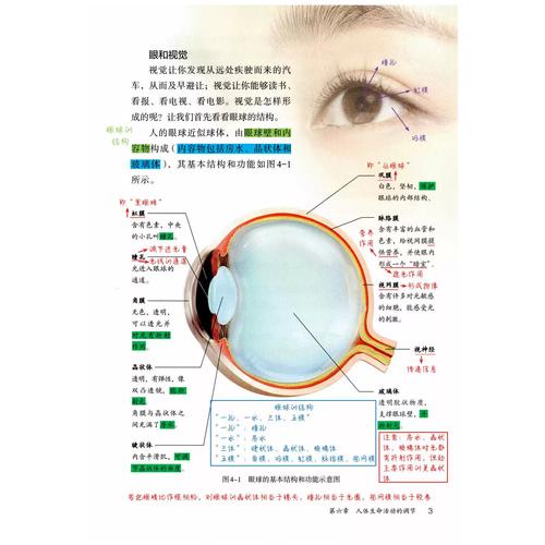 新人教版八年级上生物有哪些重点难点？