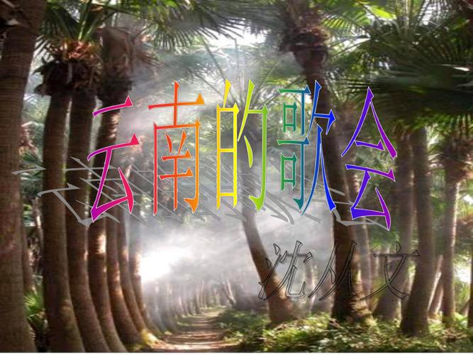 云南歌会有何独特魅力？