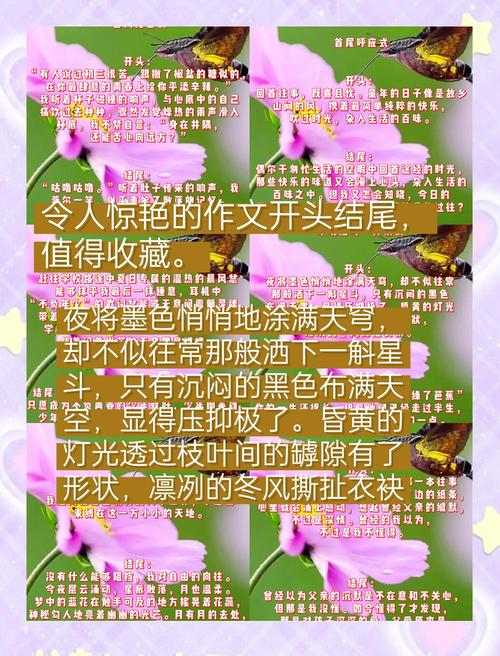 五种不同的作文开头