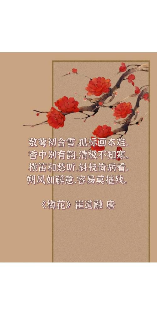 古诗词中梅花有哪些经典赞美？
