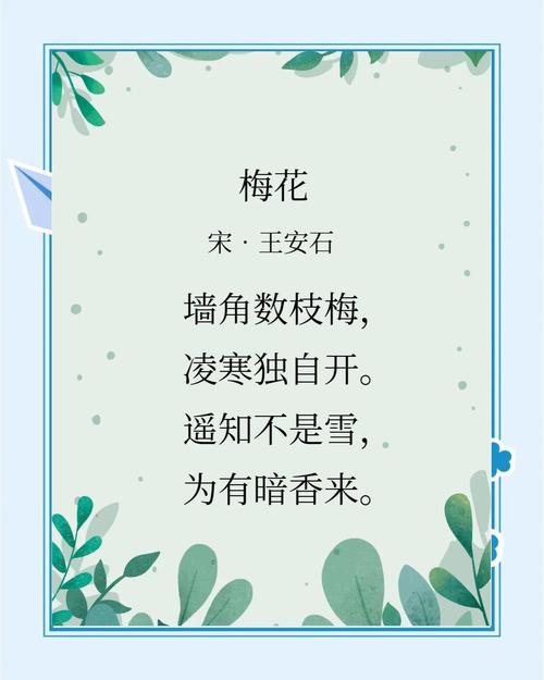 古诗词中梅花有哪些经典赞美？