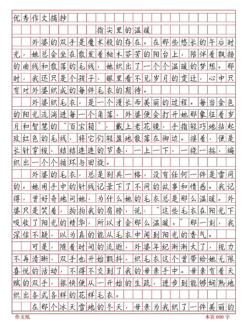 温暖类中考满分作文