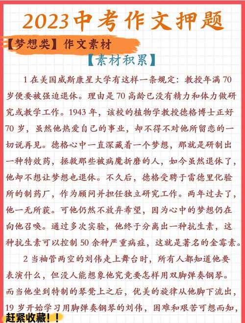 中考作文最新素材有哪些亮点？
