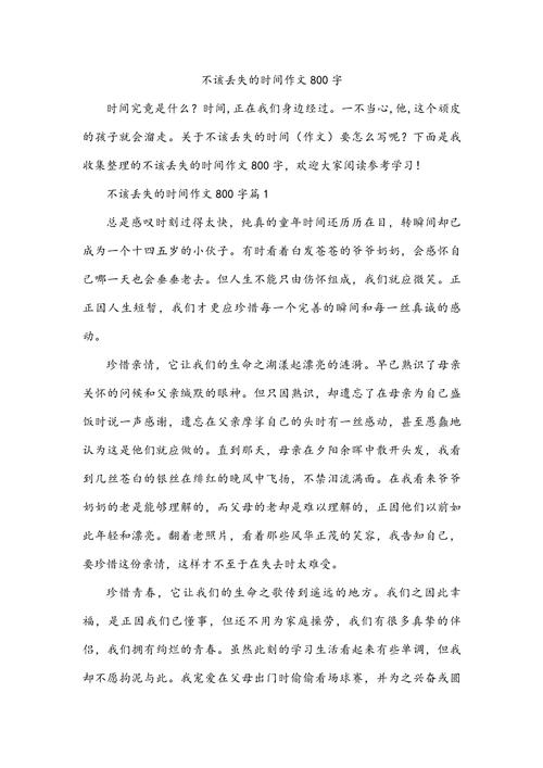 不能丢失的什么?作文里的什么究竟指什么?