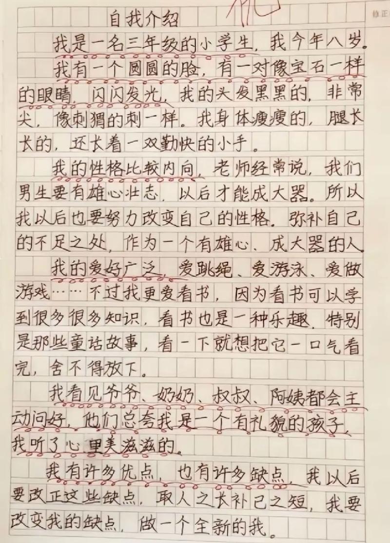 自我介绍七年级作文