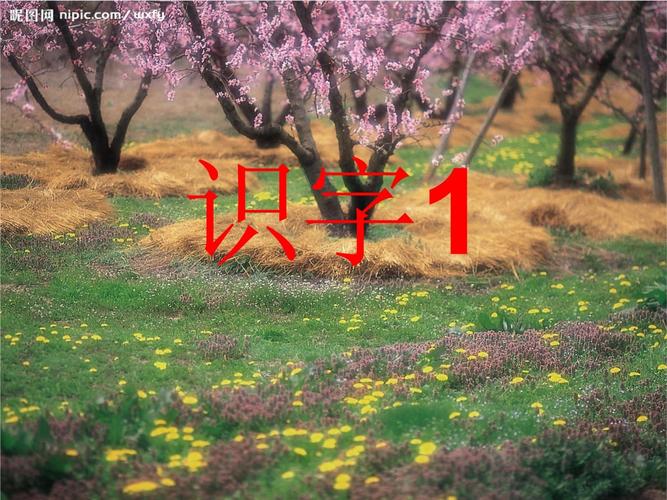 苏教版一年级语文课件该怎么用才有效？