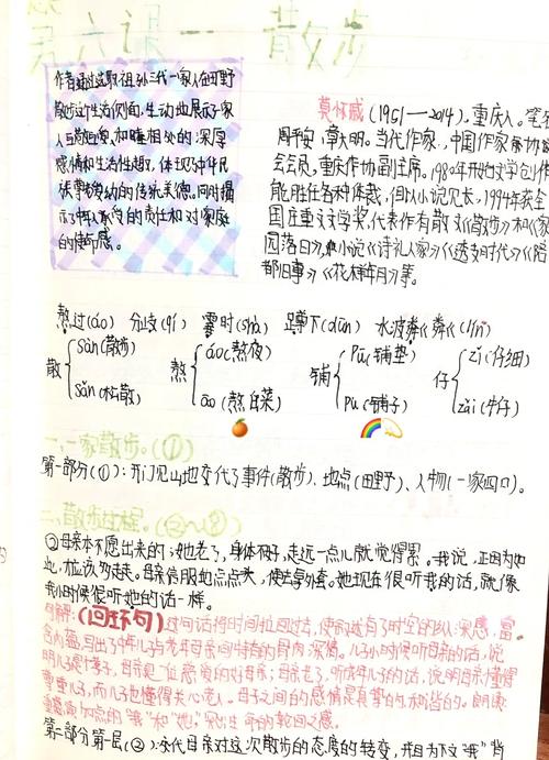 七年级上册语文第6课讲了什么重点内容？