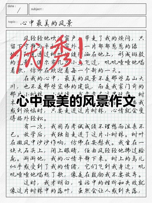作文最美心头一亮时