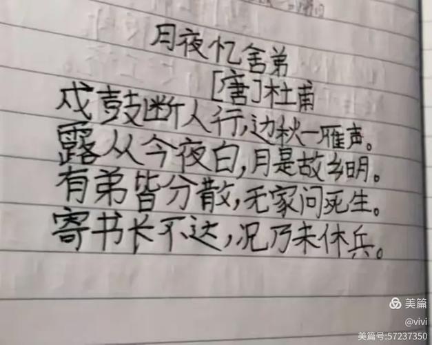 月夜忆舍弟默写，为何杜甫月夜独忆弟？