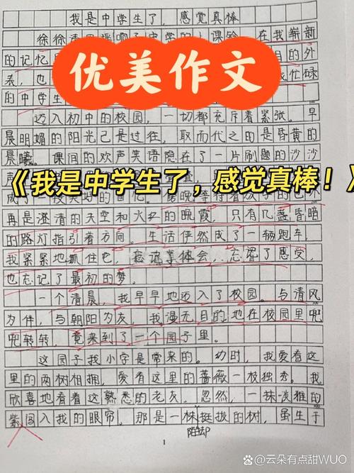 我是中学生,如何写出真情实感?