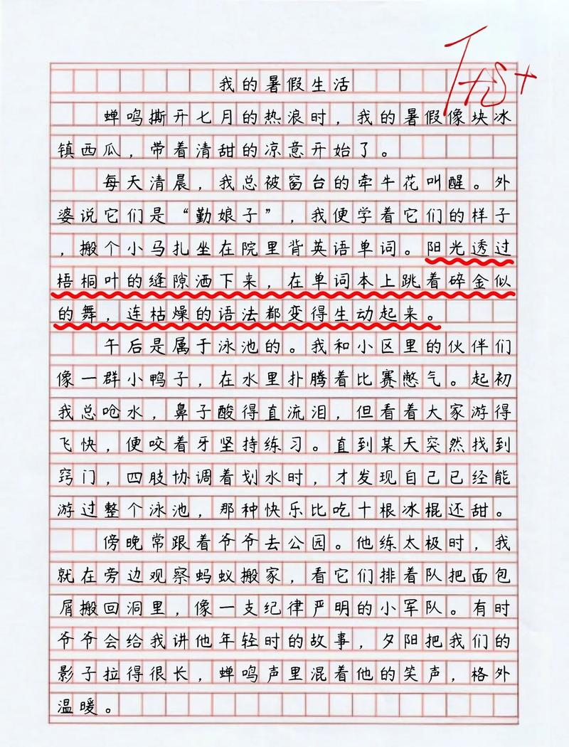 暑假生活小作文里藏着哪些趣事呢？