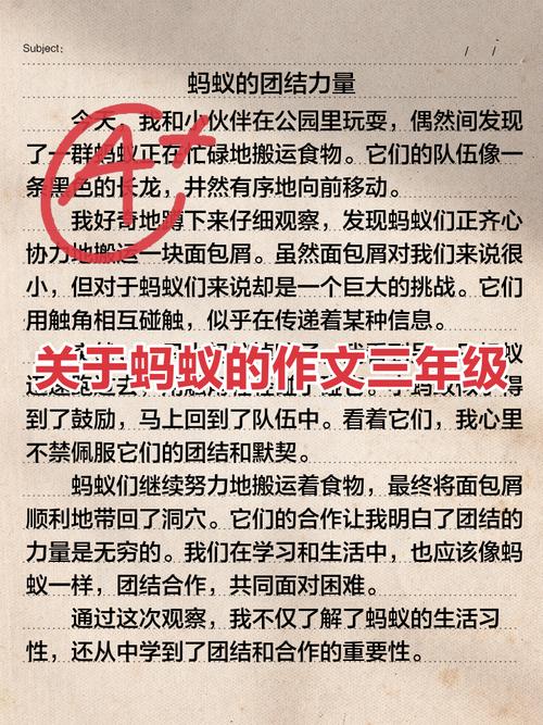 大海怎给蚂蚁写信?