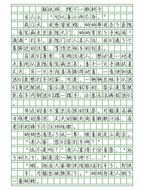 作文如何埋下种子？