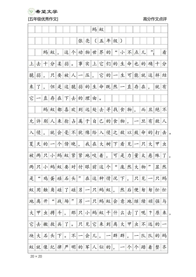 大海致蚂蚁的信作文