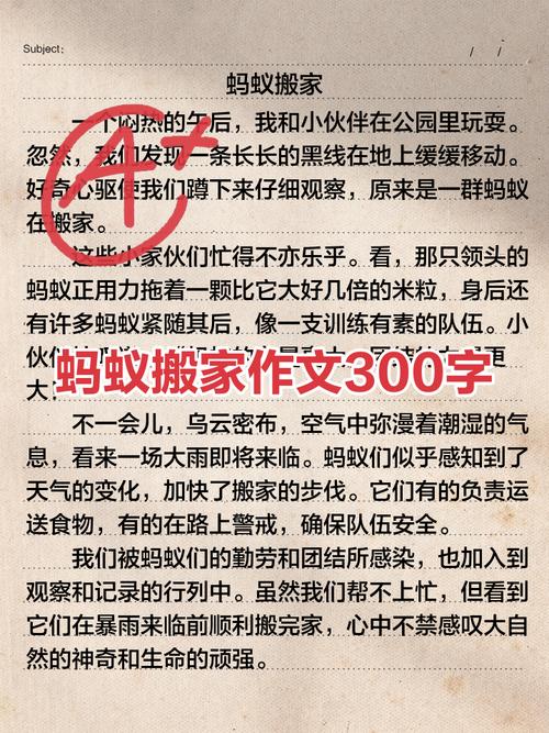 大海致蚂蚁的信作文