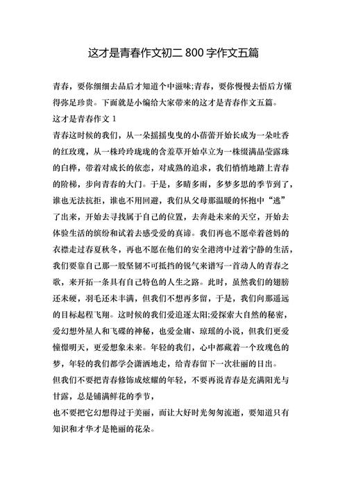 轻与重，如何抉择人生的价值？