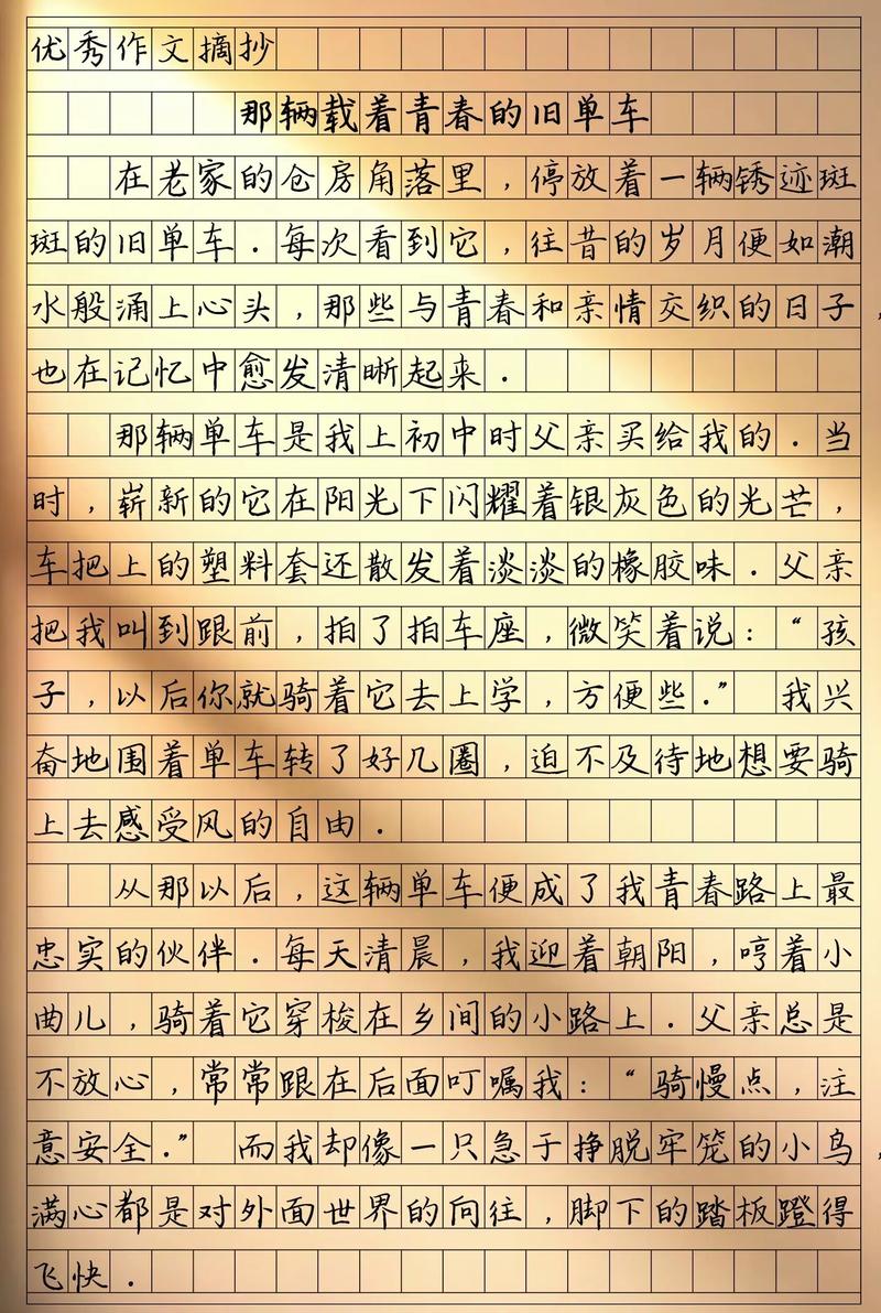 我看共享单车 作文