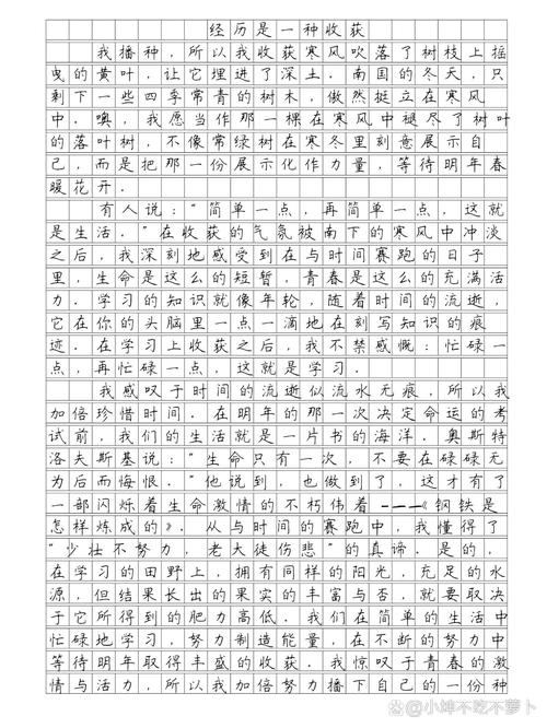 初中作文特别的经历