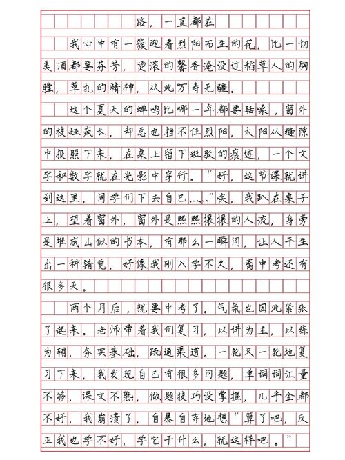 永远在 的路上作文