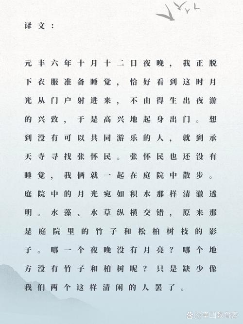 承天寺夜游，苏轼为何夜游寻乐？