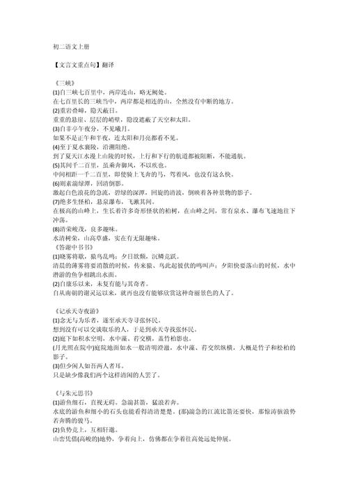 八年级重点句子翻译有哪些易错点？