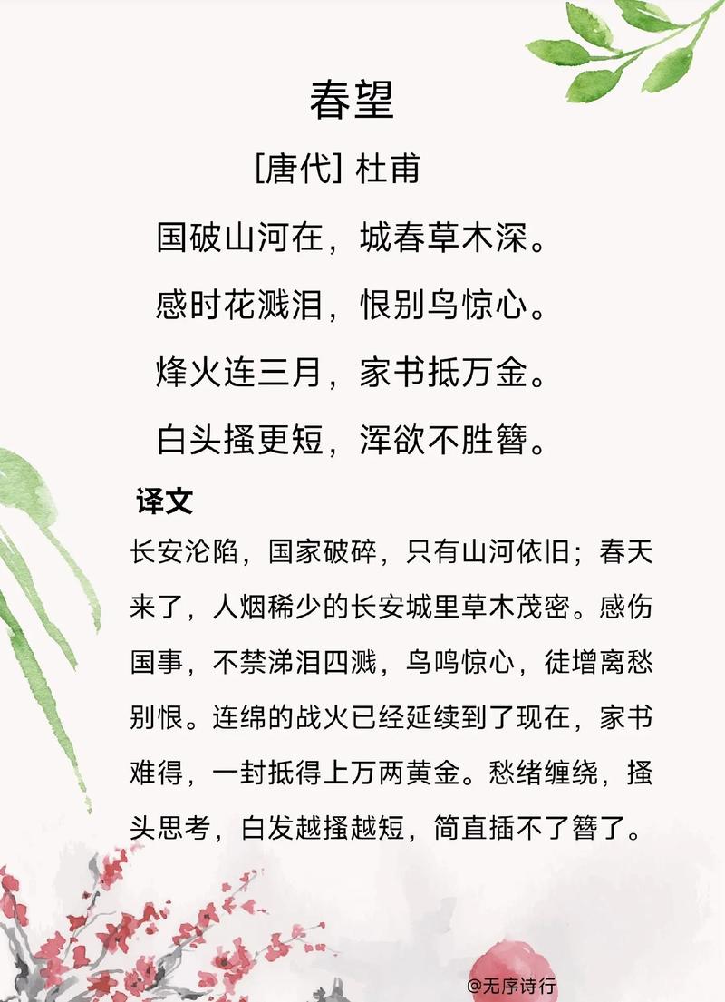 春望考点有哪些？