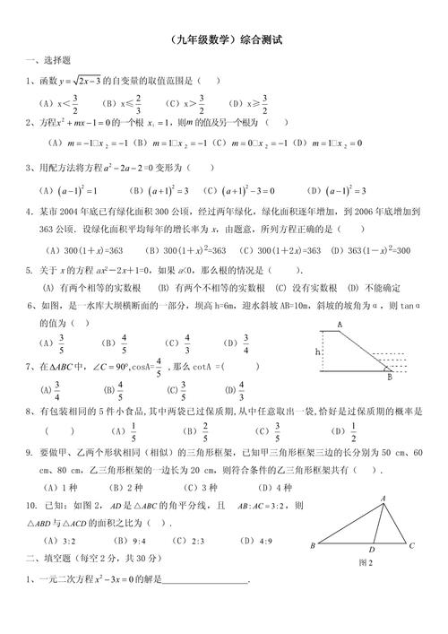 朝阳区九年级综合练习有何命题特点？