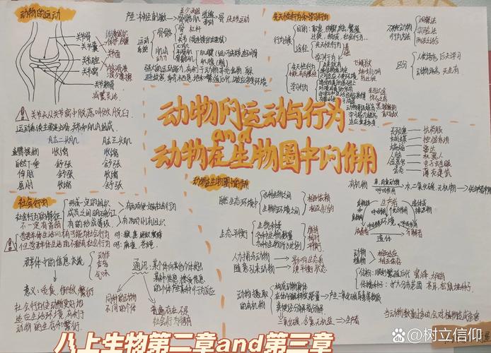 八年级生物上册第三章讲了什么核心知识？