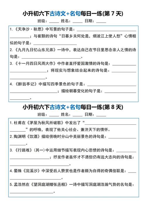 语文古诗文加餐练20有何提分妙招？