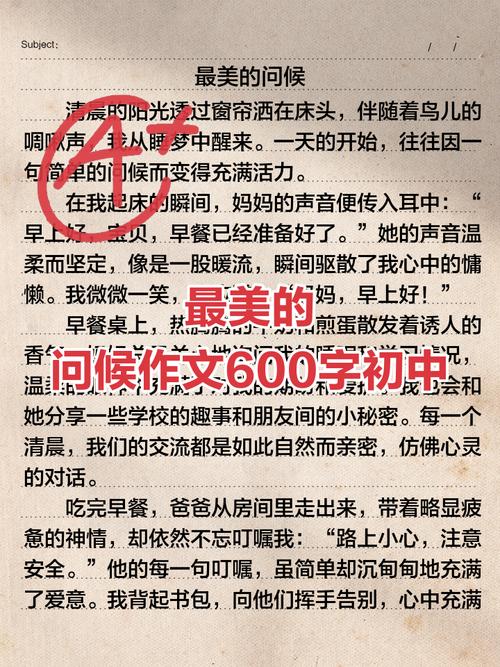 来自心底的问候作文