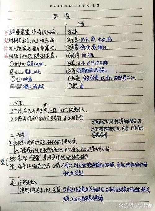 野望诗中蕴含着诗人怎样的心境？