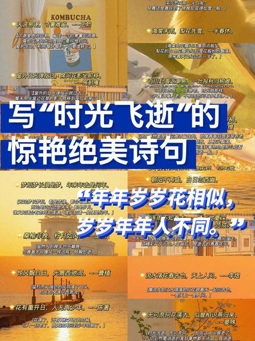 初中描写时光的古诗词